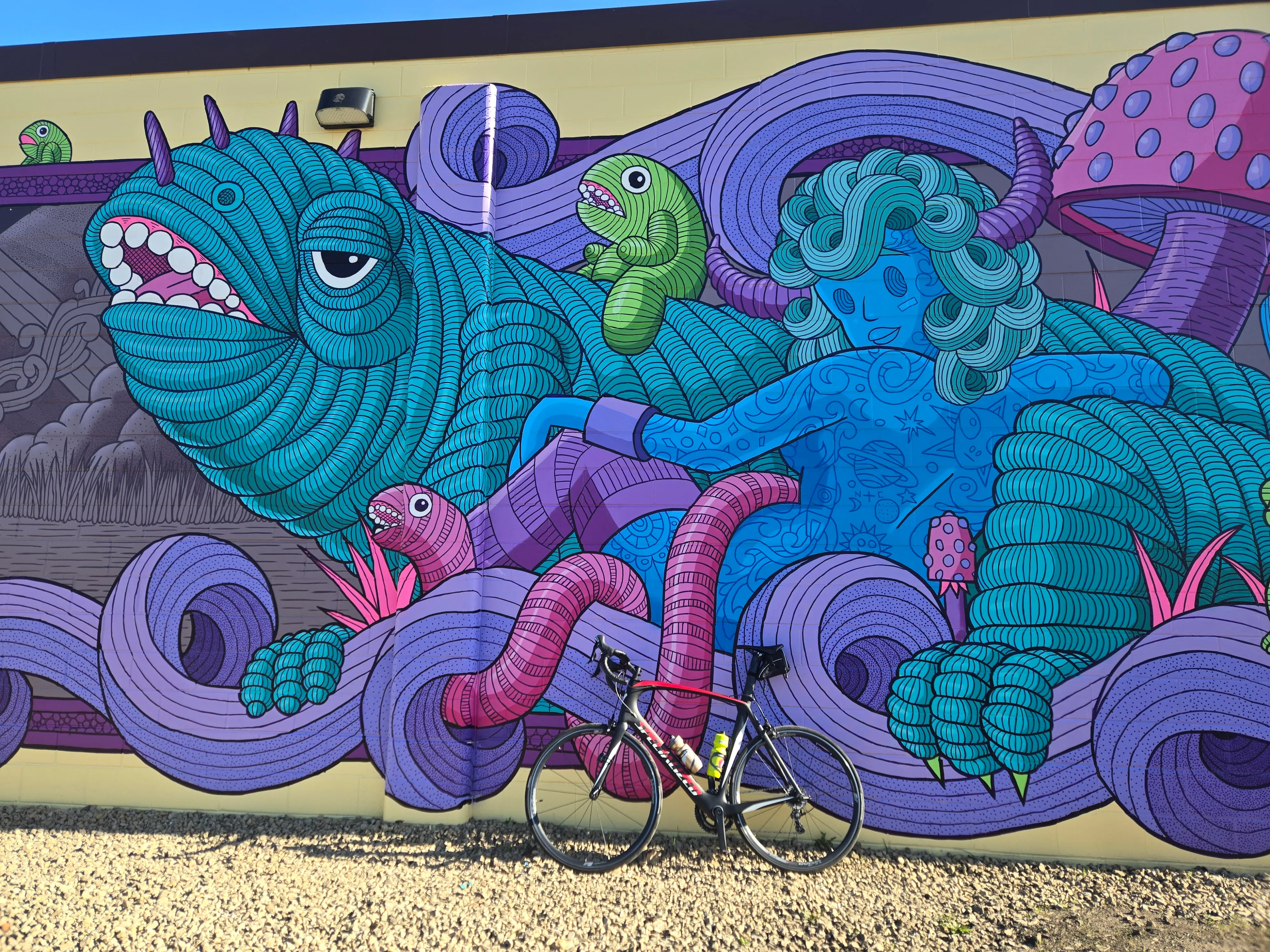 https://twincities-biketag.nyc3.cdn.digitaloceanspaces.com/main/twincities-tag-415--found.webp