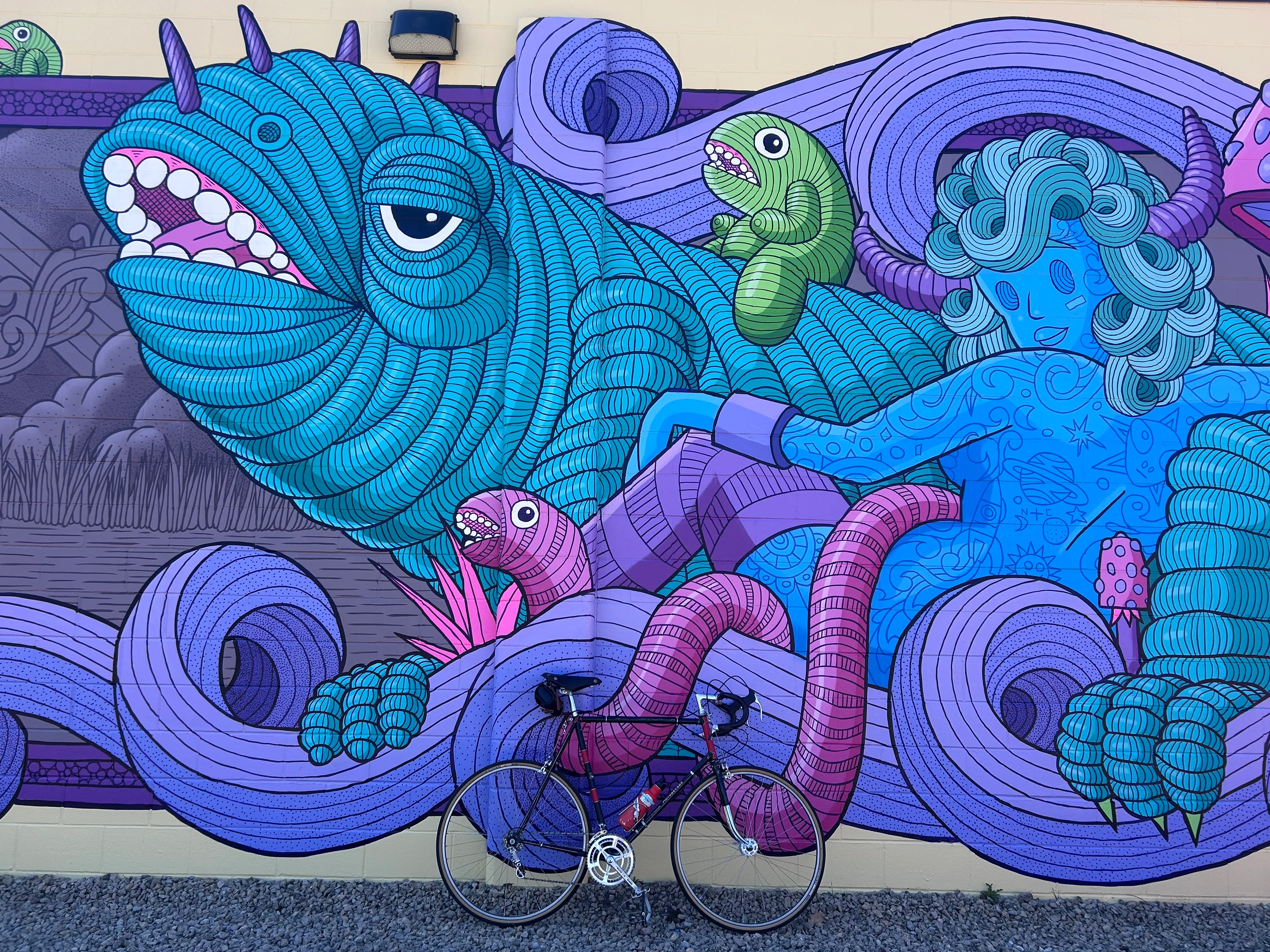 https://twincities-biketag.nyc3.cdn.digitaloceanspaces.com/main/twincities-tag-415--mystery.webp